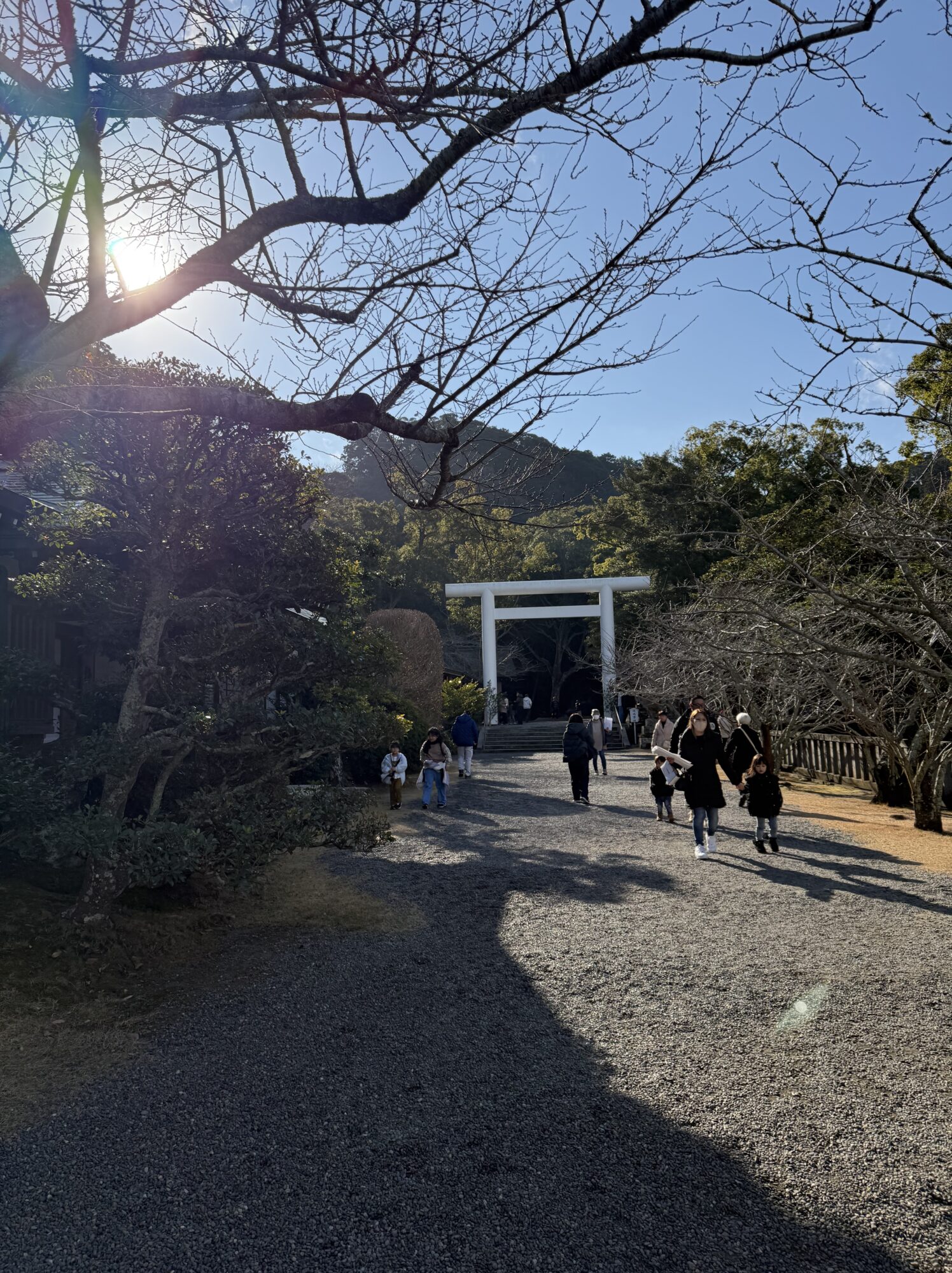 安房神社