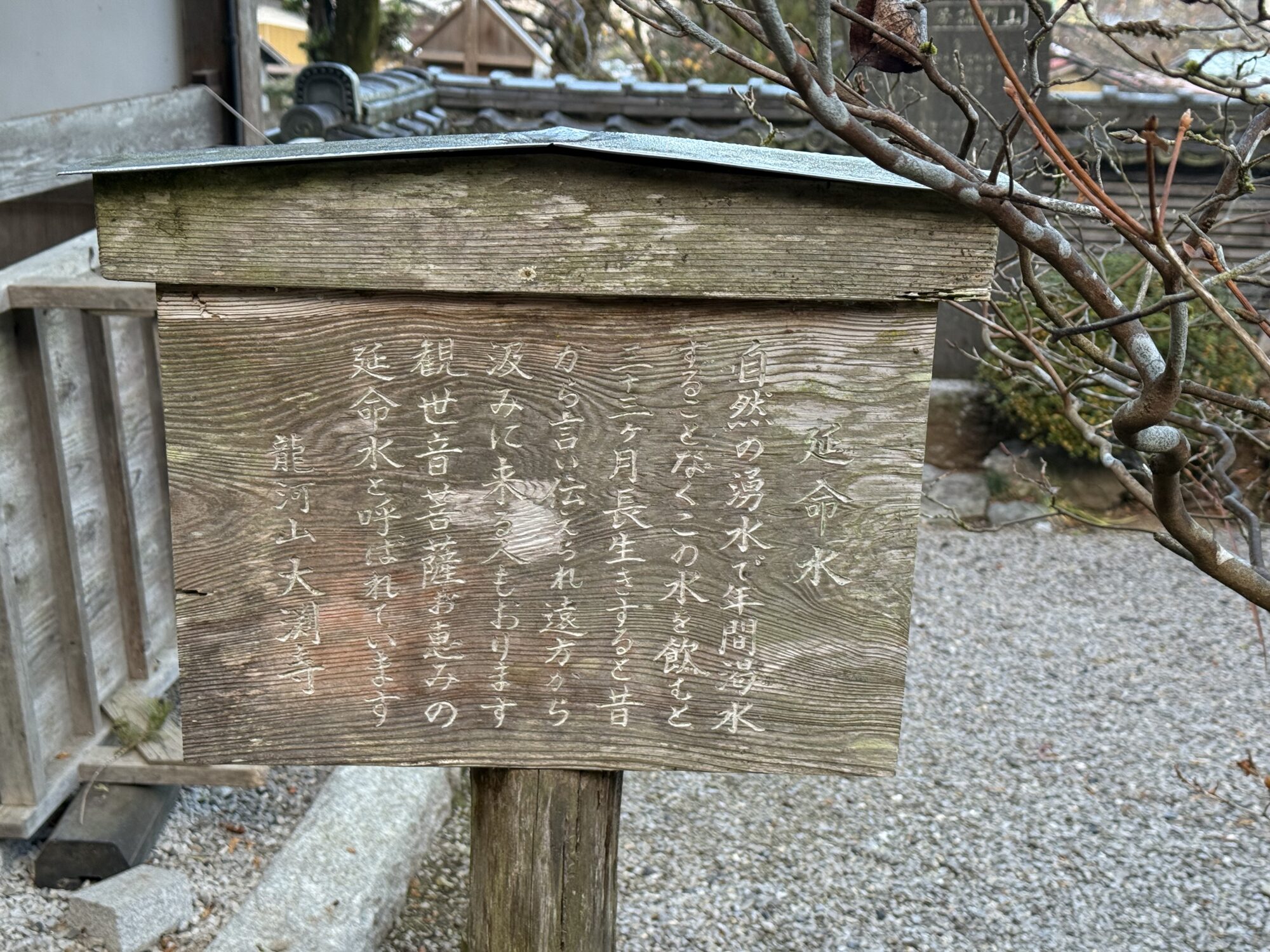 延命水でお水取り